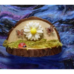 Handmade Natural Wooden Ledges for Spiders | Safe Climbing Platforms for Enclosures