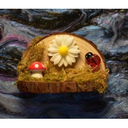 Handmade Natural Wooden Ledges for Spiders | Safe Climbing Platforms for Enclosures