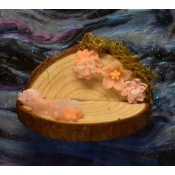 Handmade Natural Wooden Ledges for Spiders | Safe Climbing Platforms for Enclosures