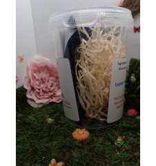 SPOODIES UK FRUIT FLY MIX