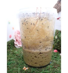 SPOODIES UK FRUIT FLY MIX