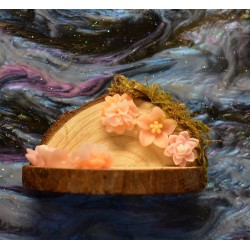 Handmade Natural Wooden Ledges for Spiders | Safe Climbing Platforms for Enclosures