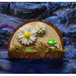 Handmade Natural Wooden Ledges for Spiders | Safe Climbing Platforms for Enclosures