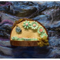 Handmade Natural Wooden Ledges for Spiders | Safe Climbing Platforms for Enclosures