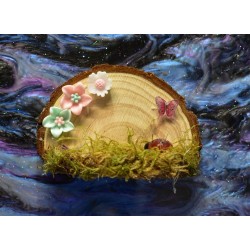 Handmade Natural Wooden Ledges for Spiders | Safe Climbing Platforms for Enclosures