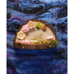 Handmade Natural Wooden Ledges for Spiders | Safe Climbing Platforms for Enclosures