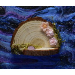 Handmade Natural Wooden Ledges for Spiders | Safe Climbing Platforms for Enclosures