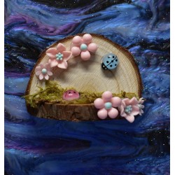 Handmade Natural Wooden Ledges for Spiders | Safe Climbing Platforms for Enclosures