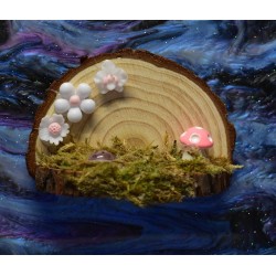 Handmade Natural Wooden Ledges for Spiders | Safe Climbing Platforms for Enclosures