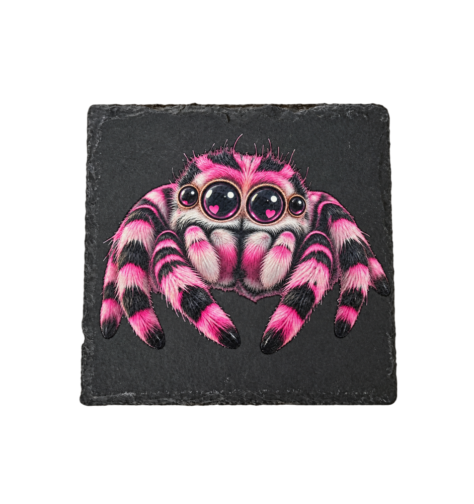 Pink Jumping Spider Natural Slate Coaster | SPOODIES