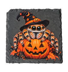Pink Jumping Spider Natural Slate Coaster | SPOODIES