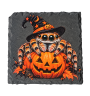 Pink Jumping Spider Natural Slate Coaster | SPOODIES
