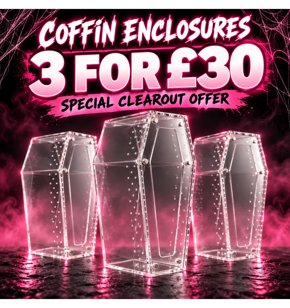 Stylish coffin-shaped jumping spider enclosure made from clear acrylic. Durable, ventilated, and easy to clean—perfect for spide