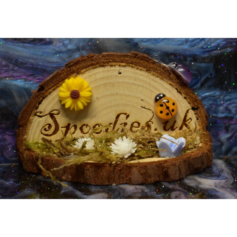 Handmade Natural Wooden Ledges for Spiders | Safe Climbing Platforms for Enclosures