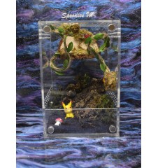 Midi Arboreal Enclosure