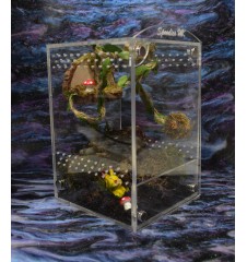 Midi Arboreal Enclosure