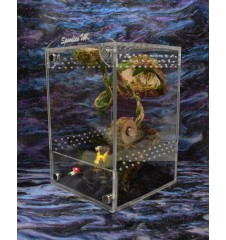 Midi Arboreal Enclosure