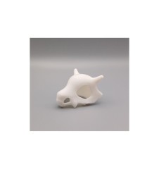 Anime Skull 3D Printed Terrarium Accessory | Spoodies UK
