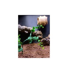Barrell Hide 3D Printed Terrarium Accessory | Spoodies UK