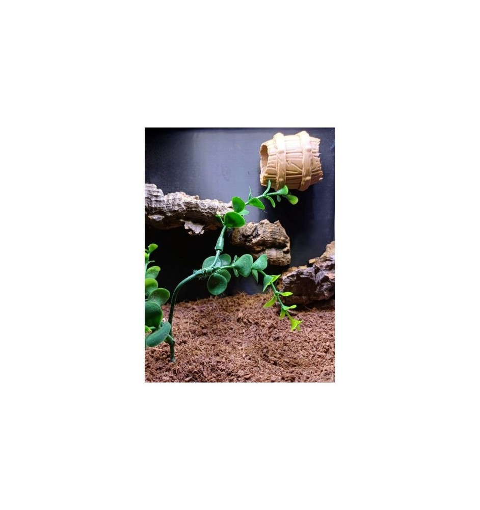 Barrell Hide 3D Printed Terrarium Accessory | Spoodies UK