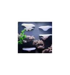 Mushroom shelf set 3D Printed Terrarium Accessory | Spoodies UK