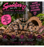 Jumping Spiders