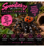 Velvet Spiders