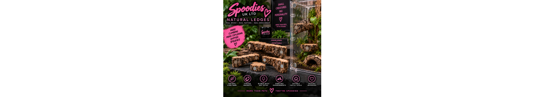 Natural Ledges