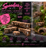 Natural Ledges